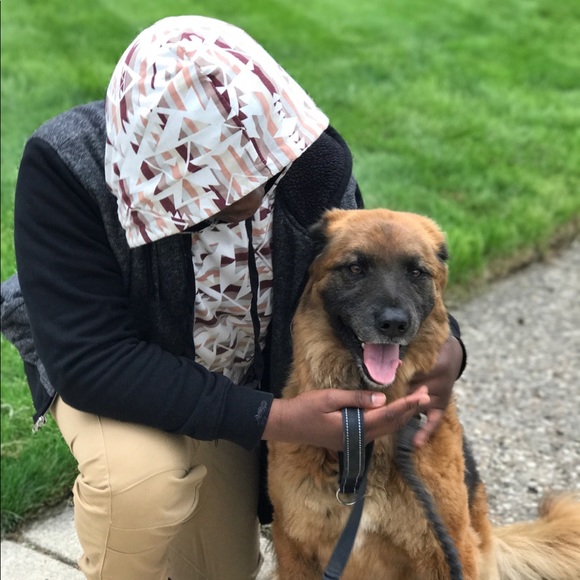 Meet your Posher, Elijah - Picture 1 of 1